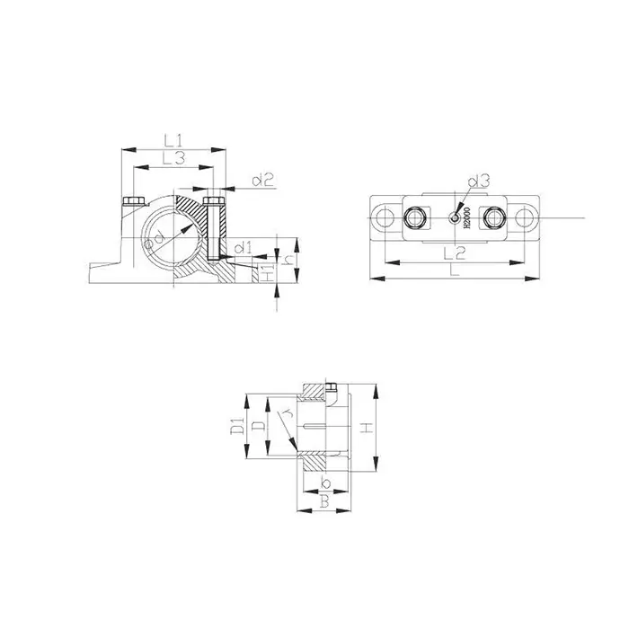 H2000-1