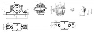 SN600