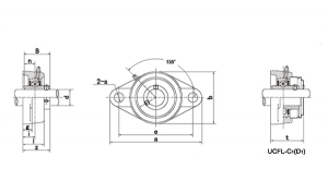 Factory wholesale Fkd/Inster Bearing/Bearing /Bearing Units/Pillow Block Bearing Units